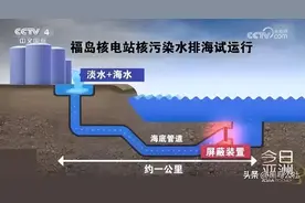 全球灾难！日本核污染水排海，哪些东西不能买？图片