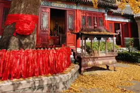 实拍！现在的竹子庵公园是这样的...图片