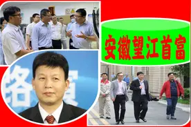 安徽“望江首富”：深圳打工，白手创业，A股上市，年入110.47亿图片