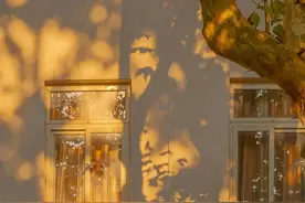 人开始废掉的10大迹象图片