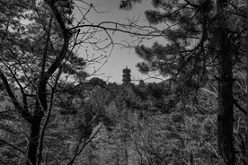 中国佛教四大名山之一，地藏菩萨应化道场，安徽九华山图片