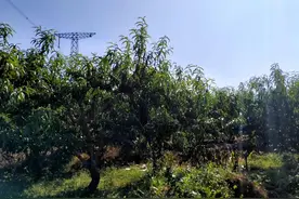 嫌你穷、怕你富，利益下暴露农村部分人狭隘，农村需要改变的太多图片