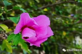 余生，给自己列个愿望清单图片