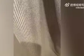 女子回应在优衣库试衣间被男童掀帘图片