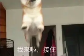 你会挑选面膜吗？这三款面膜是真材实料，还是仅为割“韭菜”?图片