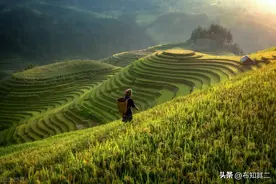 三百六十行，行行出状元，到底360行是指哪些行业？图片