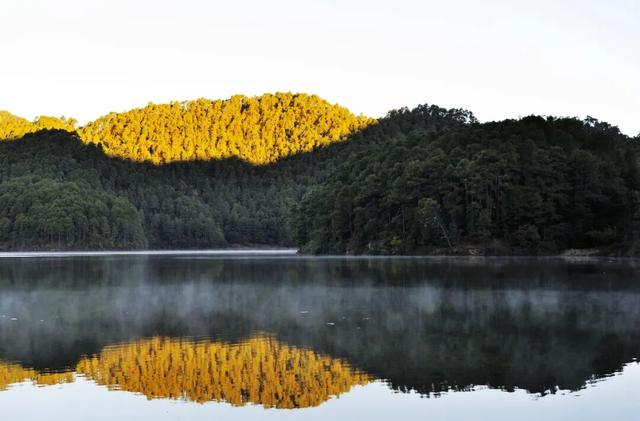 云龙，太宝藏了！