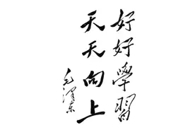 ISO 17025 8.8 内部审核（方式A） （管理手册）图片