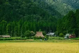 日本农村为什么美而不土？图片