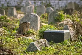 “上坟3不带，子孙祸不来”！上坟不能带什么？一定要谨记！图片