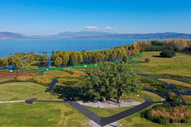 大理这条骑行线，藏着一整个春天的浪漫