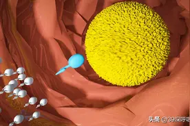 51.6%！男性生育力断崖式下跌：三大原因令人类精子变得少弱病残图片