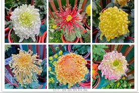 成都人民公园图片