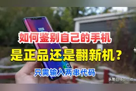 如何鉴别手机是全新正品还是翻新机？只需输入两串代码，立马知道图片