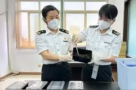 海口海关截获5条“世界最大最毒”蜈蚣！啃吃毒蛇，30秒内杀蝙蝠图片