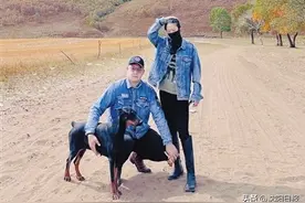 沈阳“90后”小夫妻裸辞，拖家带狗自驾环游中国图片