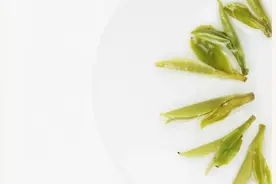 浙徽两省茶类头牌的较量，黄山毛峰与龙井茶中级别对冲评测图片