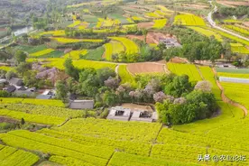 2022年河南城乡低保一个月领多少钱？附特困人员救助供养标准图片