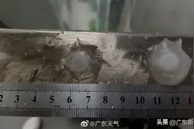 我的车被冰雹砸坏了，保险赔不赔？近期出行注意图片