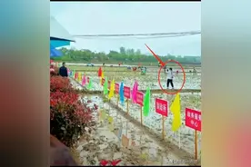 200人下乡插秧两亩地，3天耗资49万元？必须严查是作秀还是造谣！图片