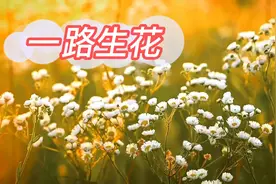 推荐几首2022年比较流行的歌曲，每一首歌都很好听、有意境图片