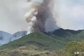 重庆大火的扑灭，让西方人见识到了中国的团结，这是与生俱来的图片