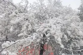 这场四月暴雪和倒春寒,为什么这么离谱，什么时候结束图片