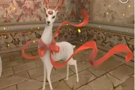 数字藏品2.0—简析鲸探、阿里和百度图片