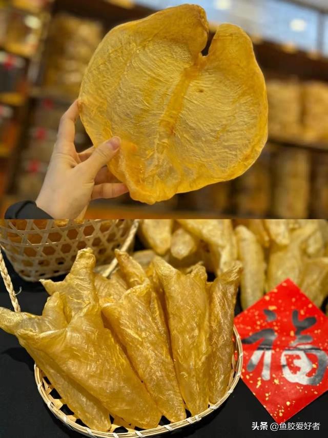 阴阳鱼胶的功效 2026年阴阳鱼胶的功效与其他鱼胶相同吗