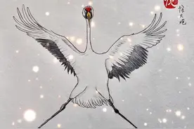 出自灵魂画手的28个神奇动物，绝对长得出乎意料，简直太搞笑了！图片