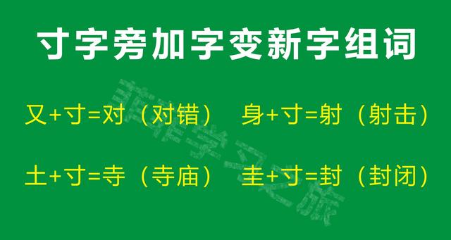 一年级偏旁部首寸字旁，一年级寸字旁的汉字，寸字旁考试知识点