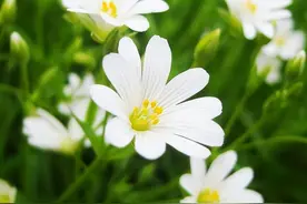 分手时，能保持理智的星座，不强求，不挽留，当断则断，不再回头图片