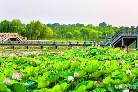 浙江省湖州市长兴县十大景区有哪些？自驾游如何安排行程？图片