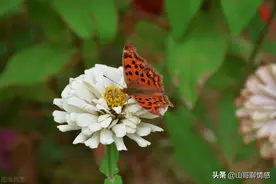 别着急，人生自有安排，一切皆有定数图片