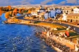 覃辉青岛救外甥，差点回不来图片