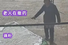 湖北黄石男子晒藕粉被邻居偷撒农药引发关注：年龄不是违法的理由图片