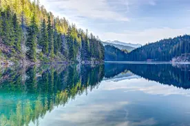 为什么很多单身的女人喜欢养狗？看完你就知道了图片