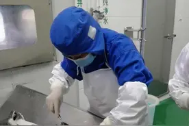 女人怒砸500万，养了10年鲟鱼，只为杀鱼取卵制作鱼子酱！图片