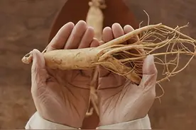 正官庄凭什么成为世界红参滋补领域的“领头羊”？图片