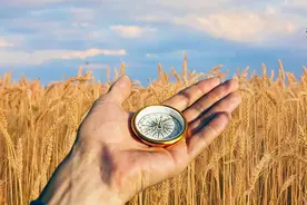 “麦高证券”忽如其来，指南针PK东方财富的梦想图片