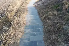 故事：年轻和尚在回寺庙的途中，救了一个女人，后来得知她是公主图片