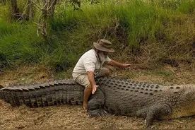 传闻红海曾现300米巨蟒，上百人命丧蛇口？真的有这么大的蛇吗？图片