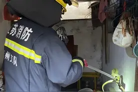 端午“毒虫出”，带上五彩线不如带上这份安全小贴士图片