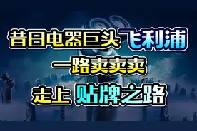 昔日的皇家飞利浦，如今是“欧洲南极人”？图片