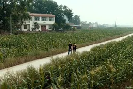 “一只手换一条命”的英雄母亲冉体兰：装上假肢面对新生活图片