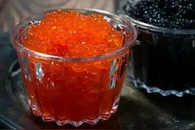 俄罗斯：再穷不能穷渔业，再苦不能苦渔民图片