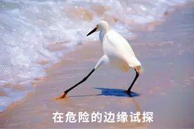 爱奇艺TV版白嫖用户的网？你薅羊毛前好歹说一声啊图片