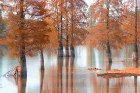 女人的“嗯”和“嗯嗯”有何区别？偷偷告诉你，老实人一定要懂图片