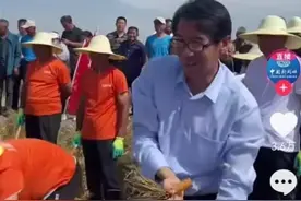 为什么会割麦子的书记能被点赞？图片