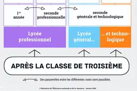 五度干货 | 一文带你搞懂中法教育体系的差异，快来看看吧图片